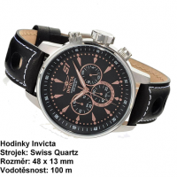 Invicta Silver
