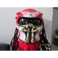 Predator Face Color III