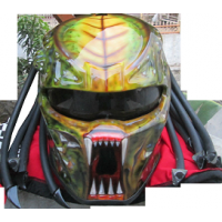 Predator Face Color II